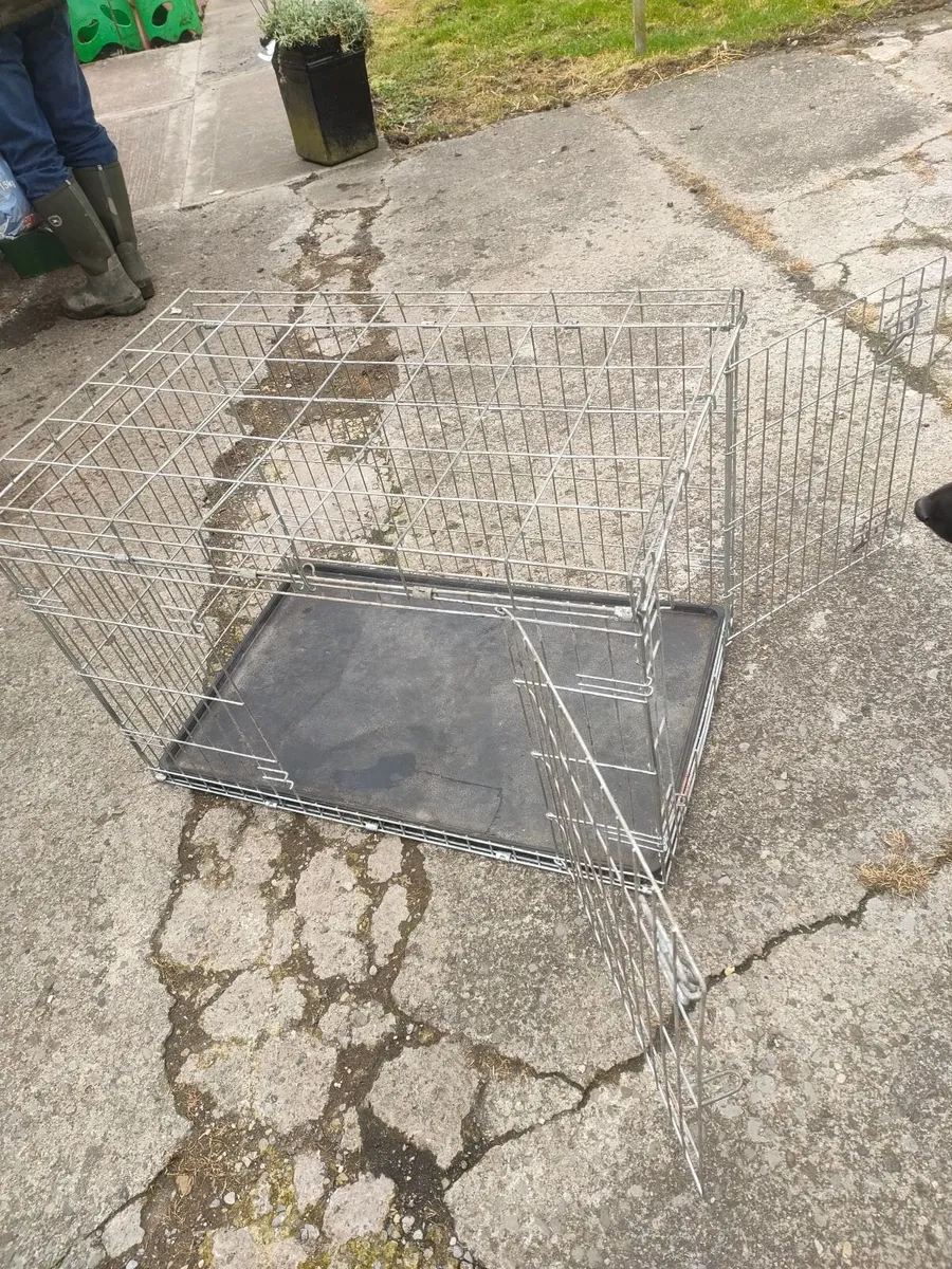 Dog crate - Image 4