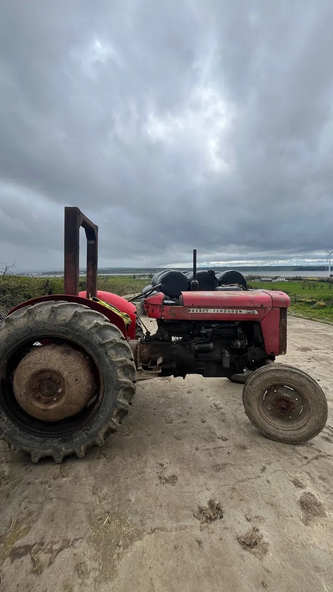 Massey Ferguson 65 - Image 4