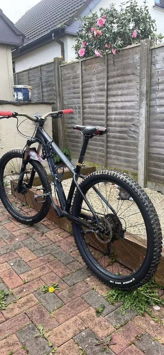 Trek hard tail with added specs - Image 3