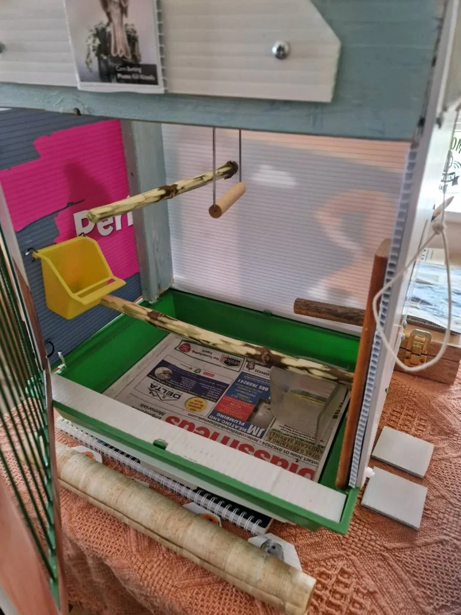 Birds cage . - Image 3