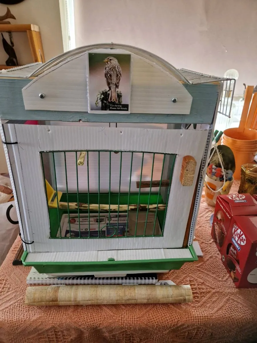Birds cage . - Image 4