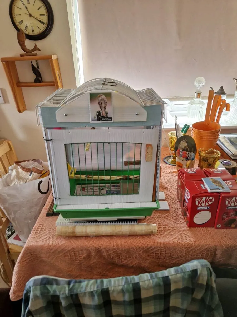 Birds cage . - Image 2