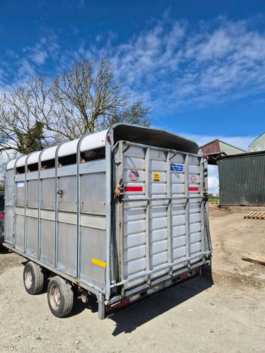12ft cattle trailer - Image 3