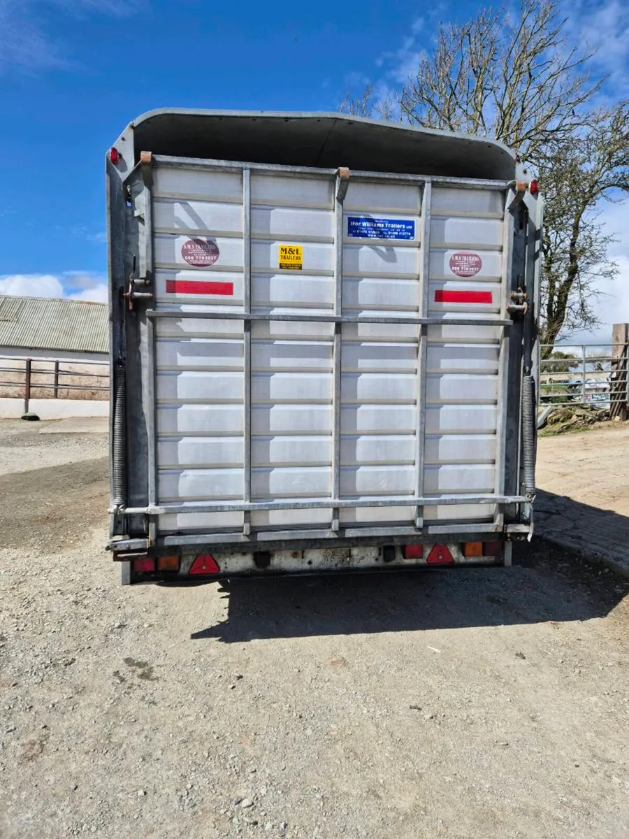 12ft cattle trailer - Image 4