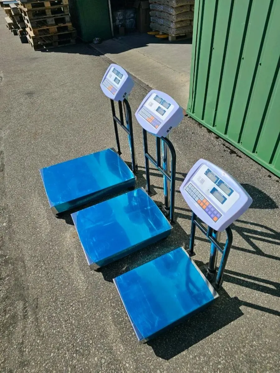 Digital Platform Scale brand new - Image 3