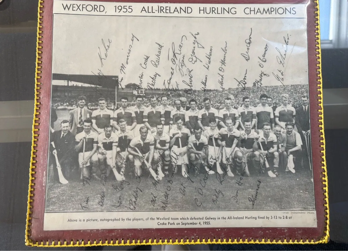 1955 all Ireland 🇮🇪 hurling Champions Wexford