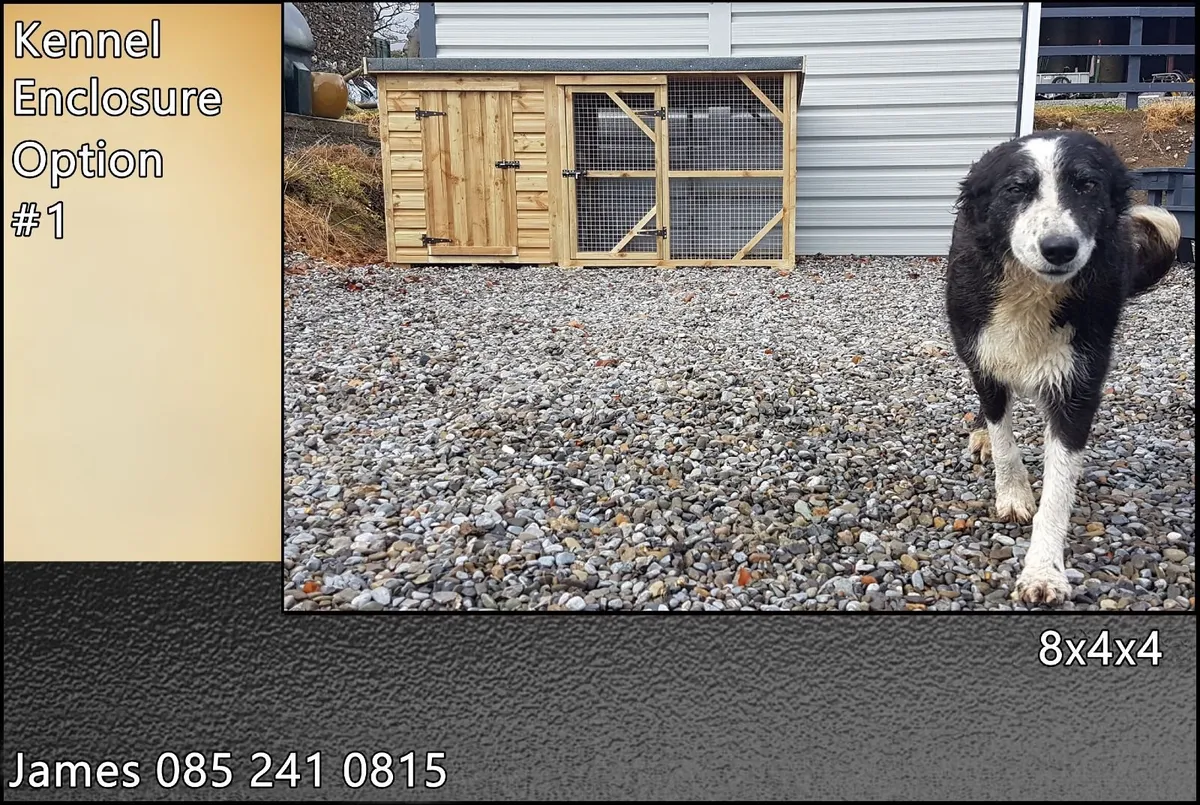 Dog Box With Enclosure - Image 1