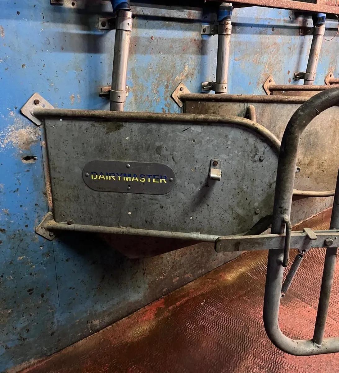 14 unit Dairymaster Milking machine - Image 3