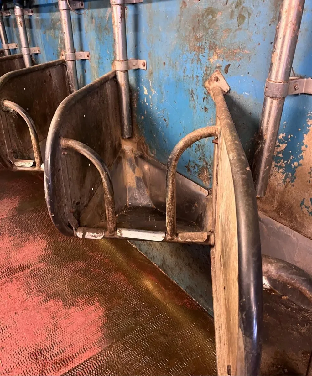 14 unit Dairymaster Milking machine - Image 4