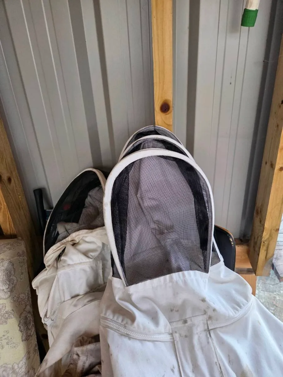 Bees in hive + Spinner - Image 4