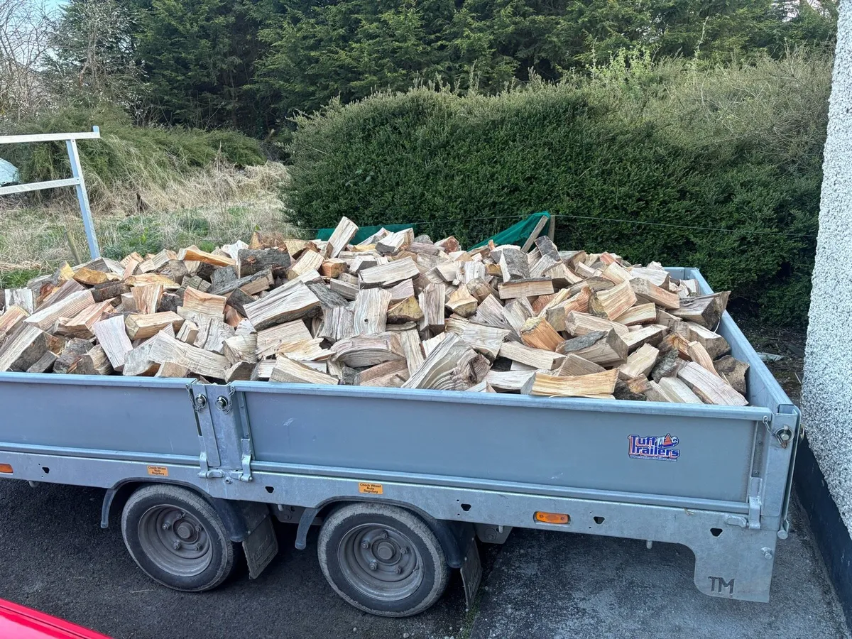 Firewood - Image 1