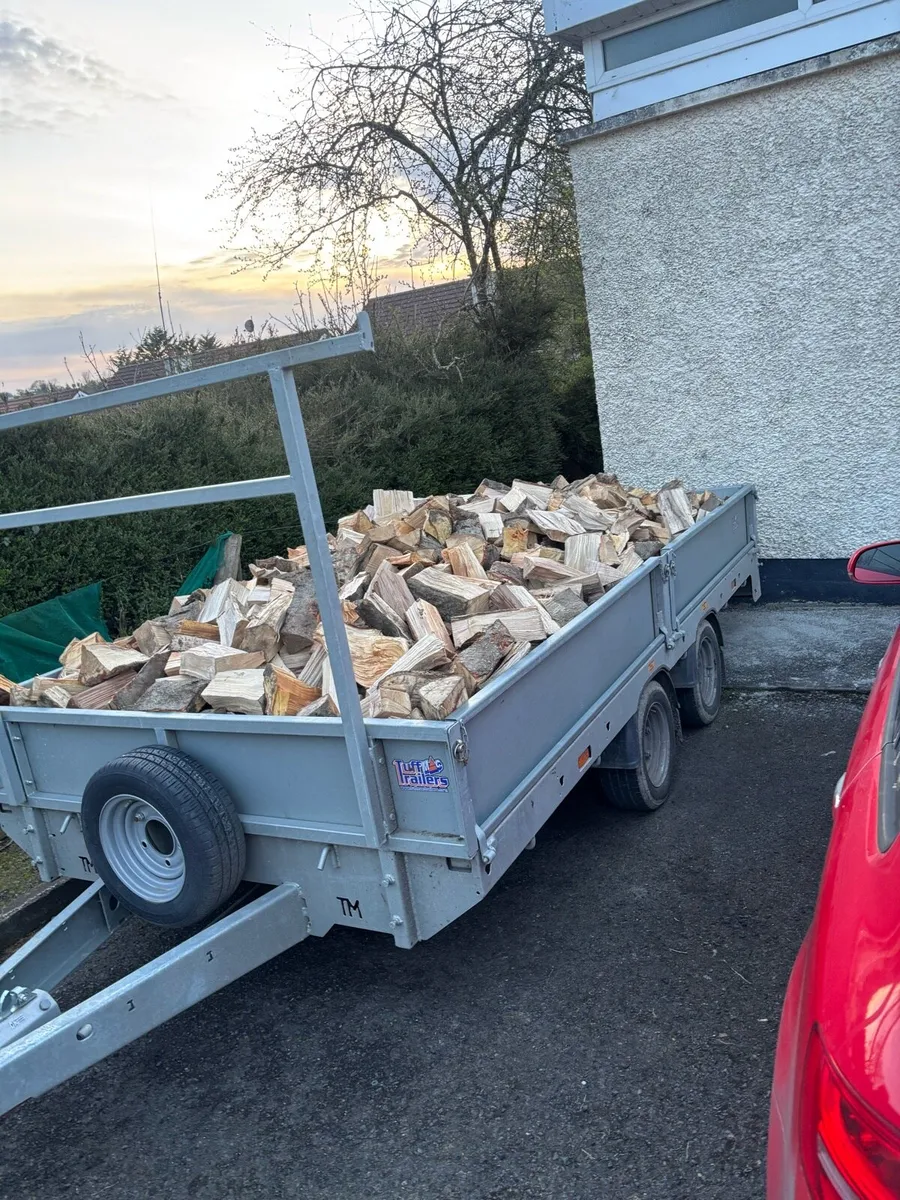 Firewood - Image 2