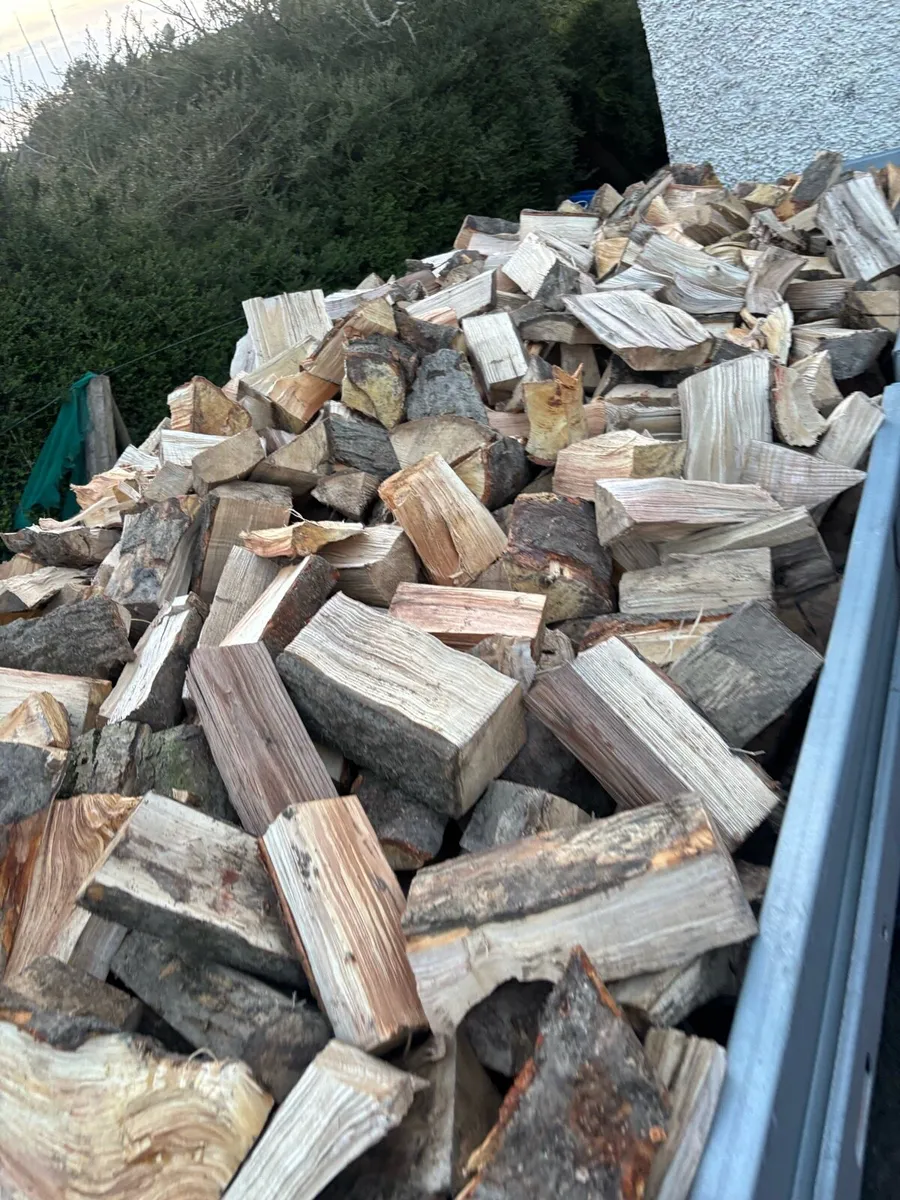Firewood - Image 3