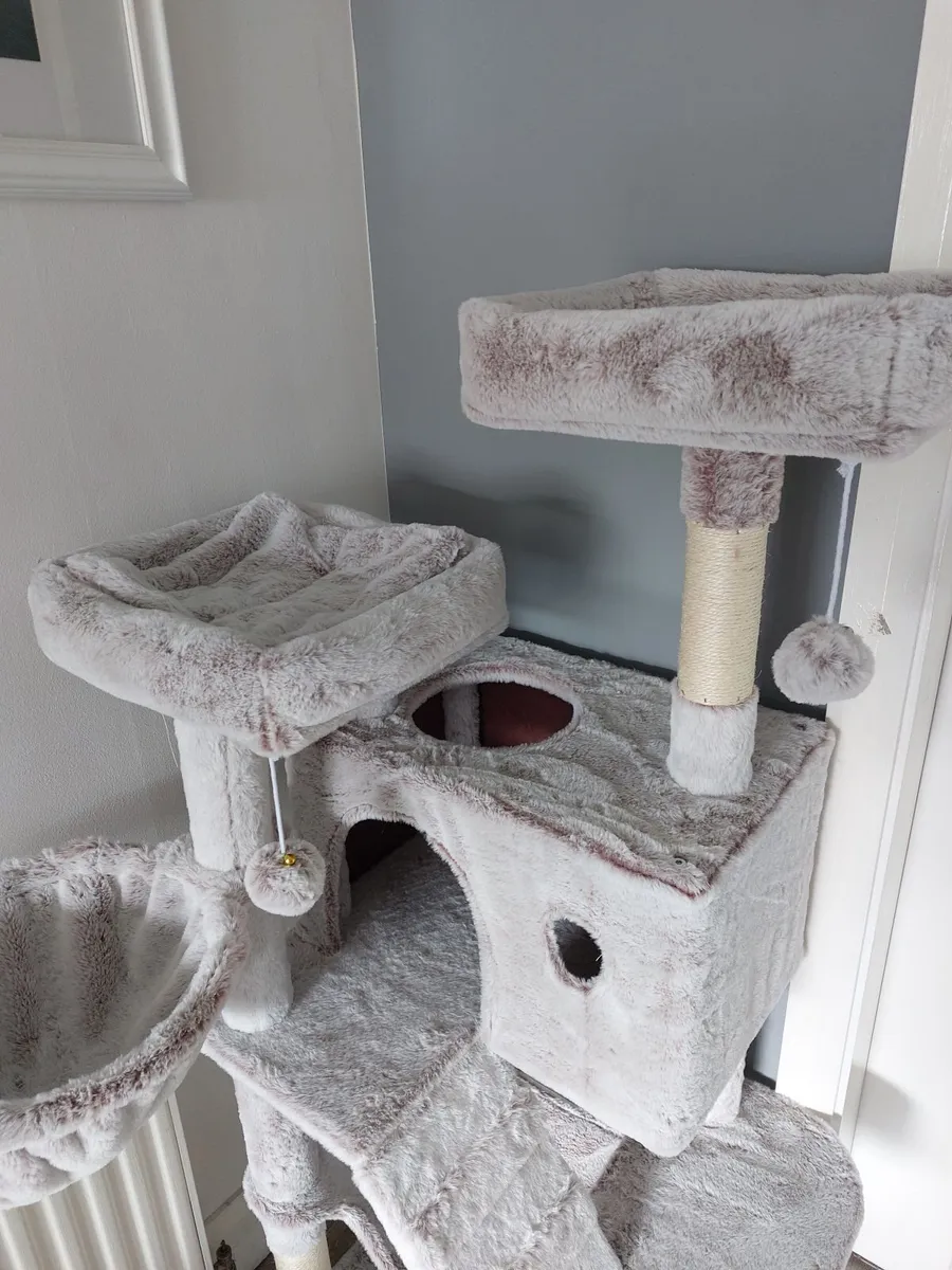 Cat Tree - Unused - Image 3