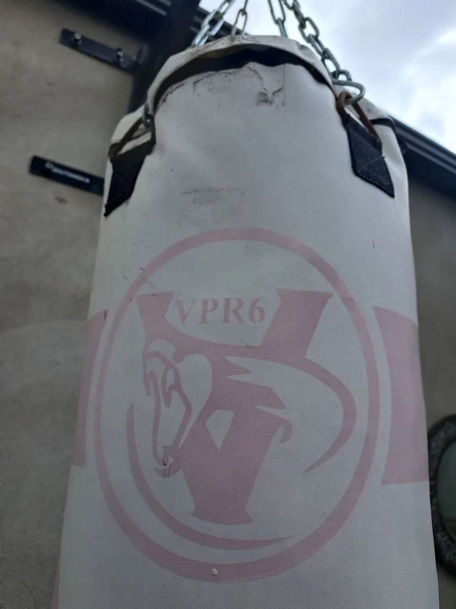 Boxing Bag - Image 1