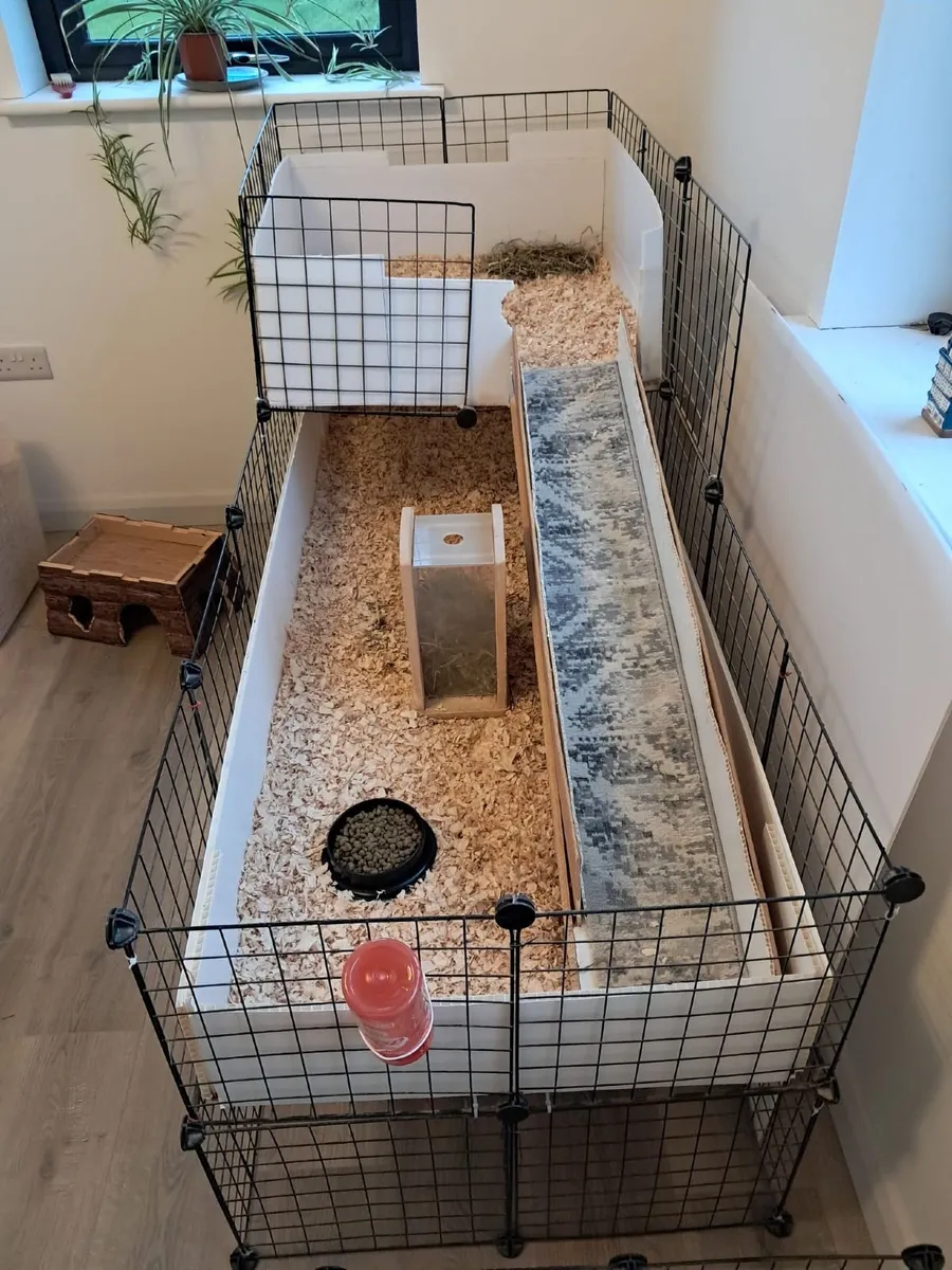 Small animal cage (Guinea Pigs, etc) - Image 1