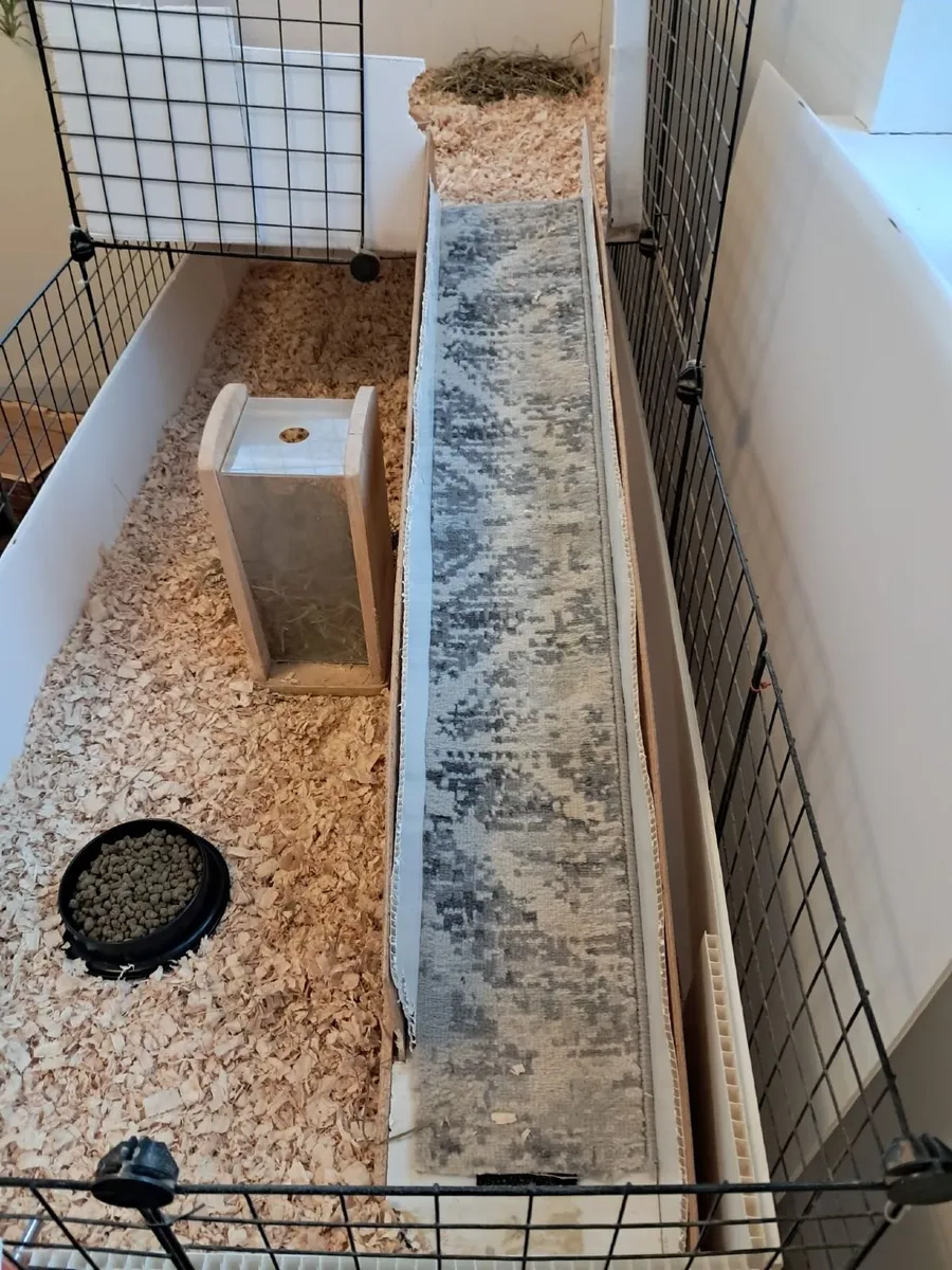 Small animal cage (Guinea Pigs, etc) - Image 3