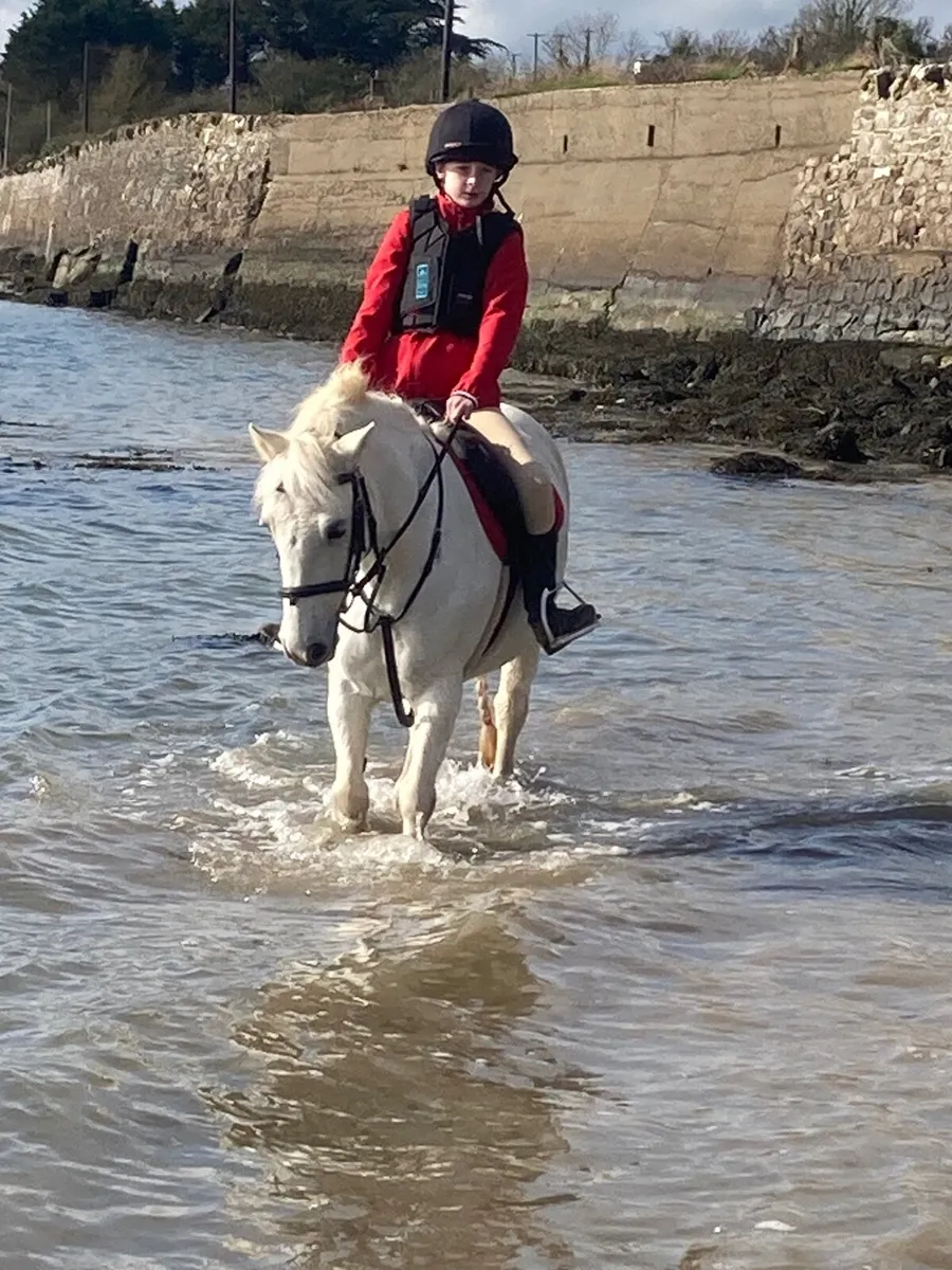 IDEAL FIRST PONY - Image 1