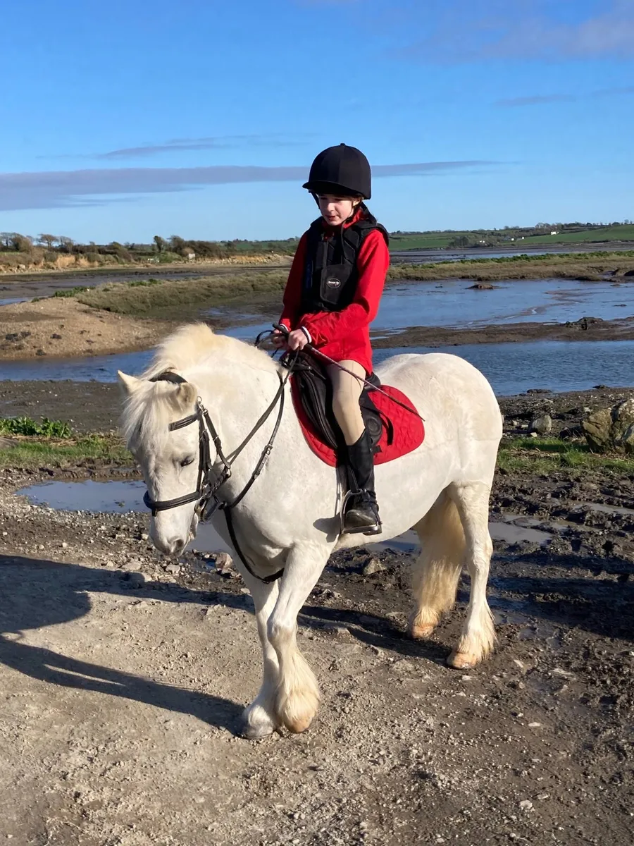 IDEAL FIRST PONY - Image 2