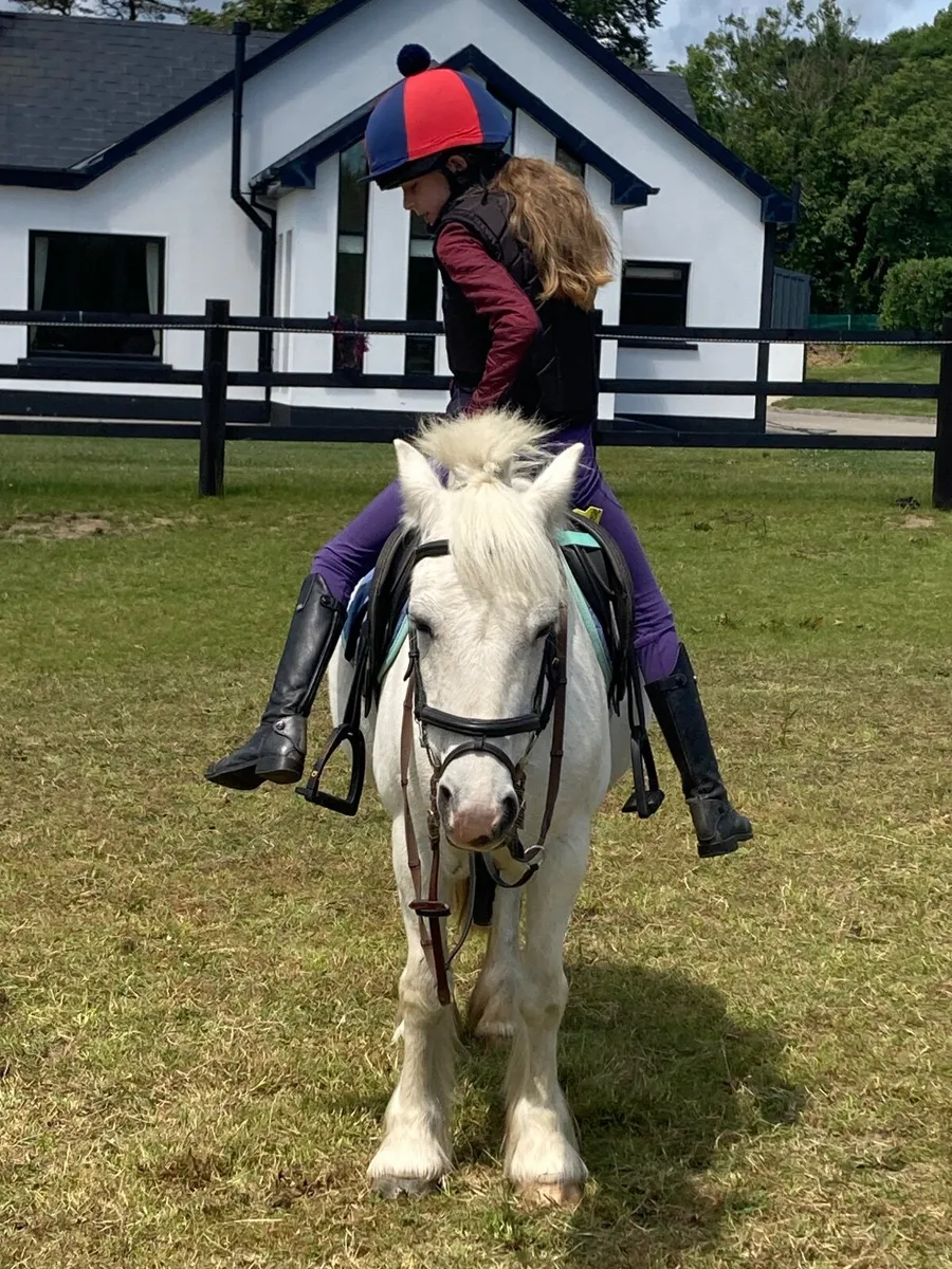 IDEAL FIRST PONY - Image 4