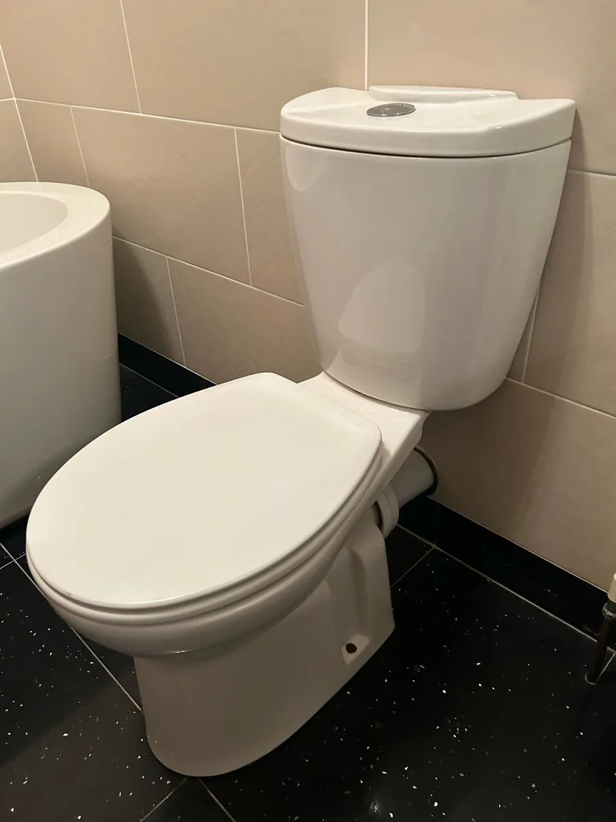 Toilet and sink - Image 1