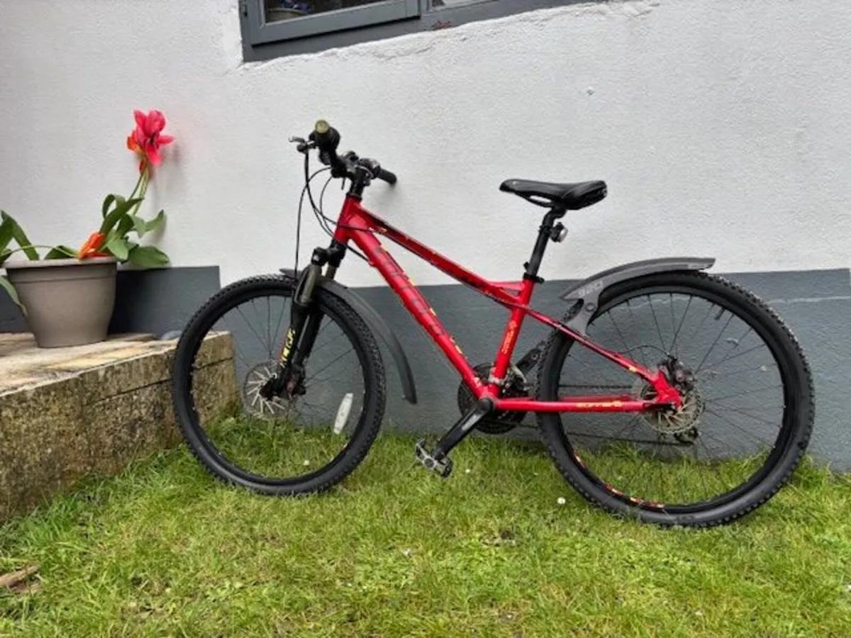 Carrera Blast Kids Mountain Bike - Image 1