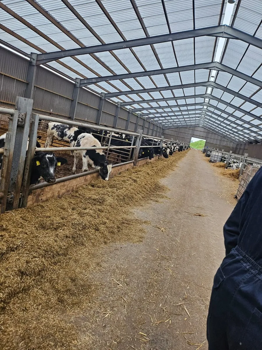 Looking QUOTE  FOR   cubicle house/  FOR  SCOTLAND