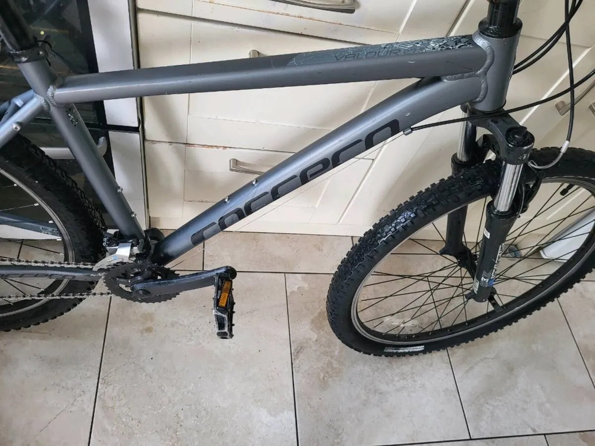Carrera mountain bike - Image 2