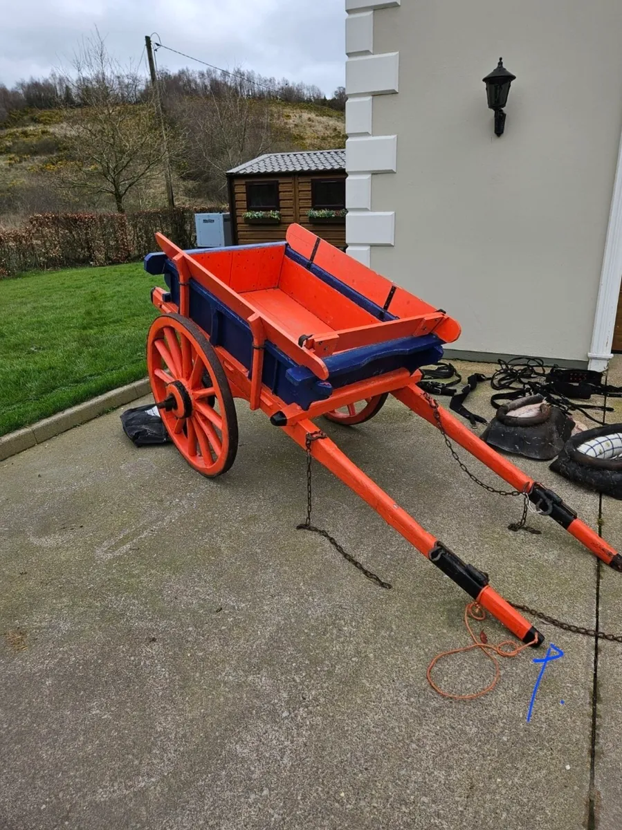 Pony Cart and Harnesses - Image 1