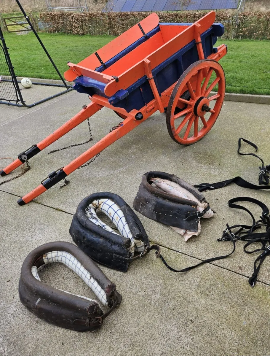 Pony Cart and Harnesses - Image 2