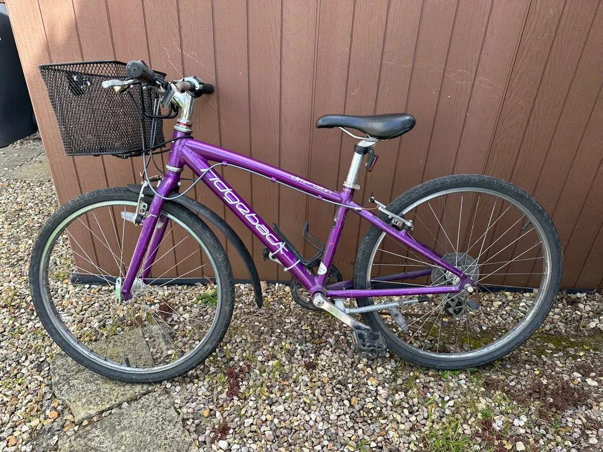 Girls Ridgeback Dimension 24 inch bike - Image 1