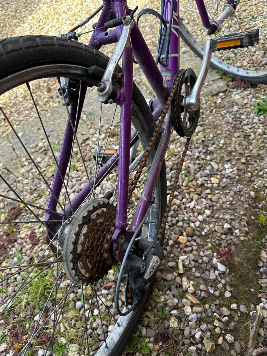 Girls Ridgeback Dimension 24 inch bike - Image 4