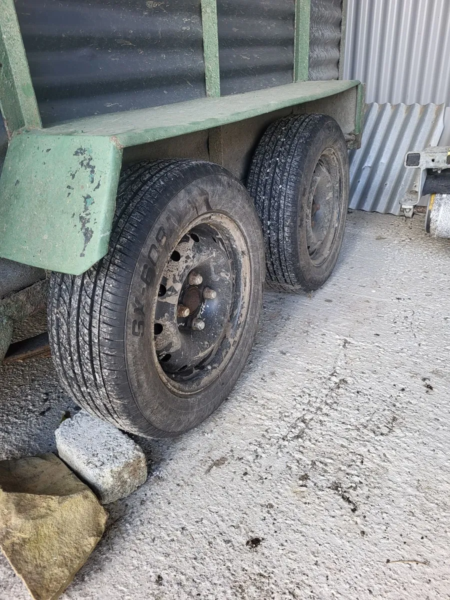 Cattle Trailer - Image 3