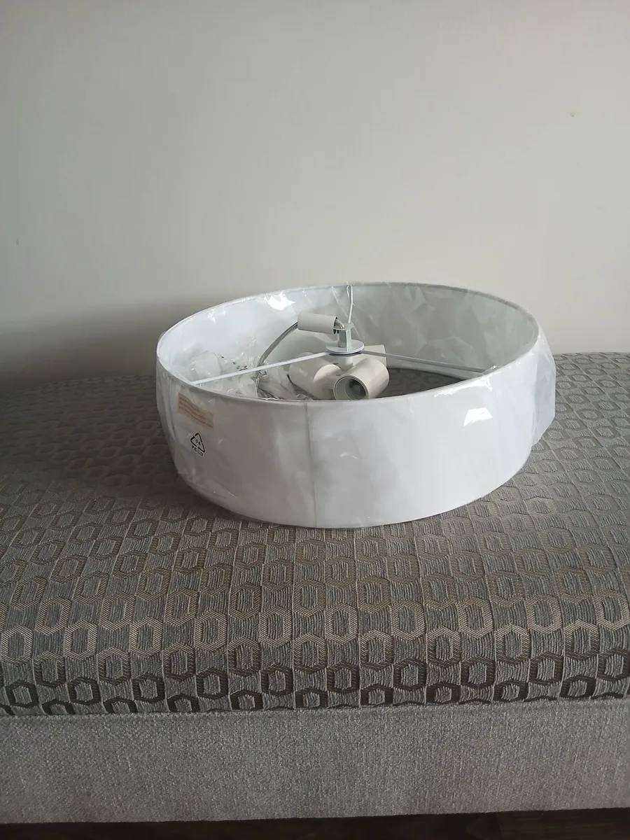 Ceiling Light - Image 1