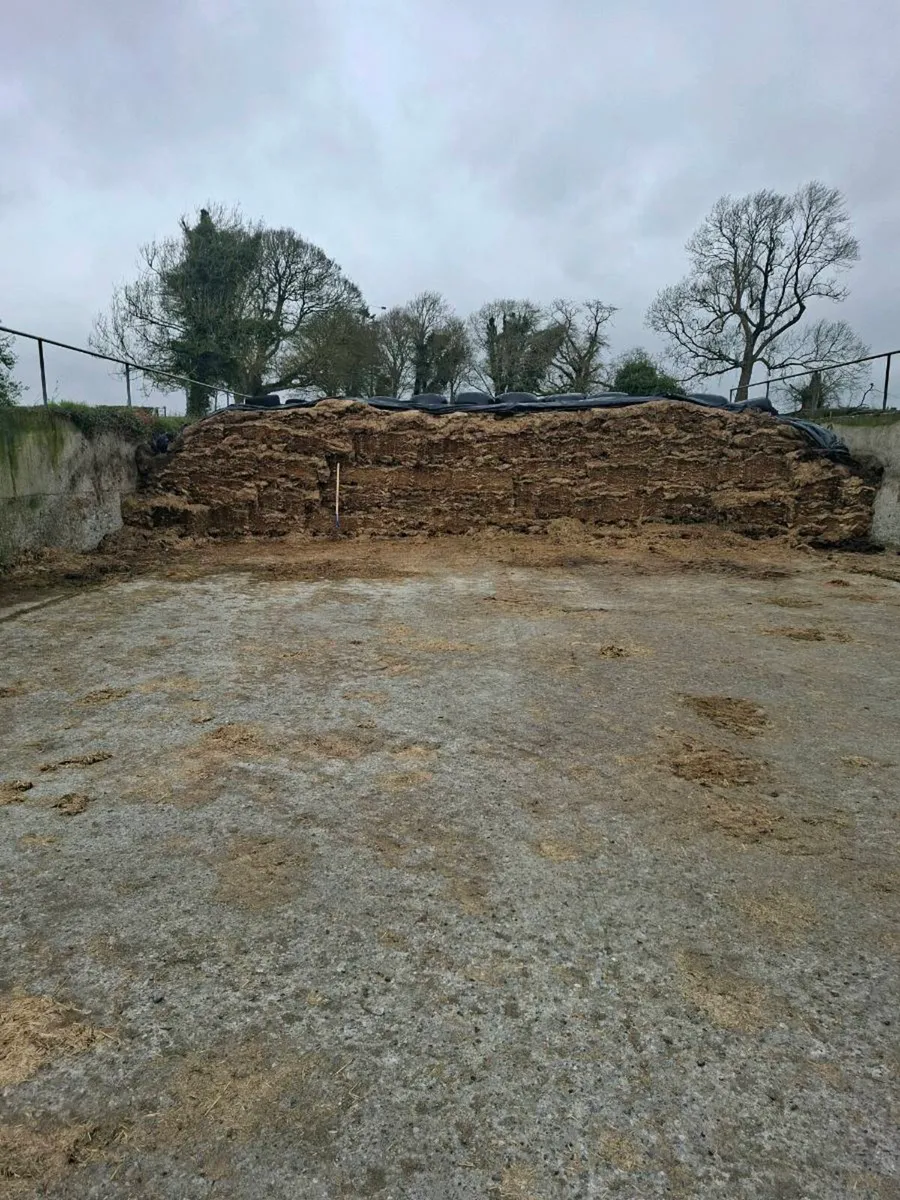 Silage - Image 2