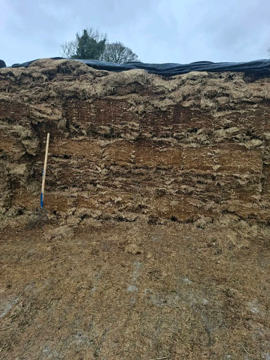 Silage - Image 1