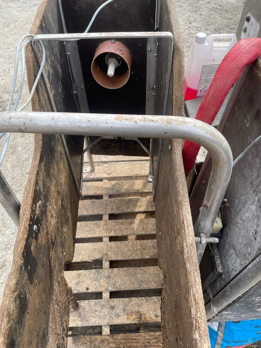 Urban calve feeder - Image 3