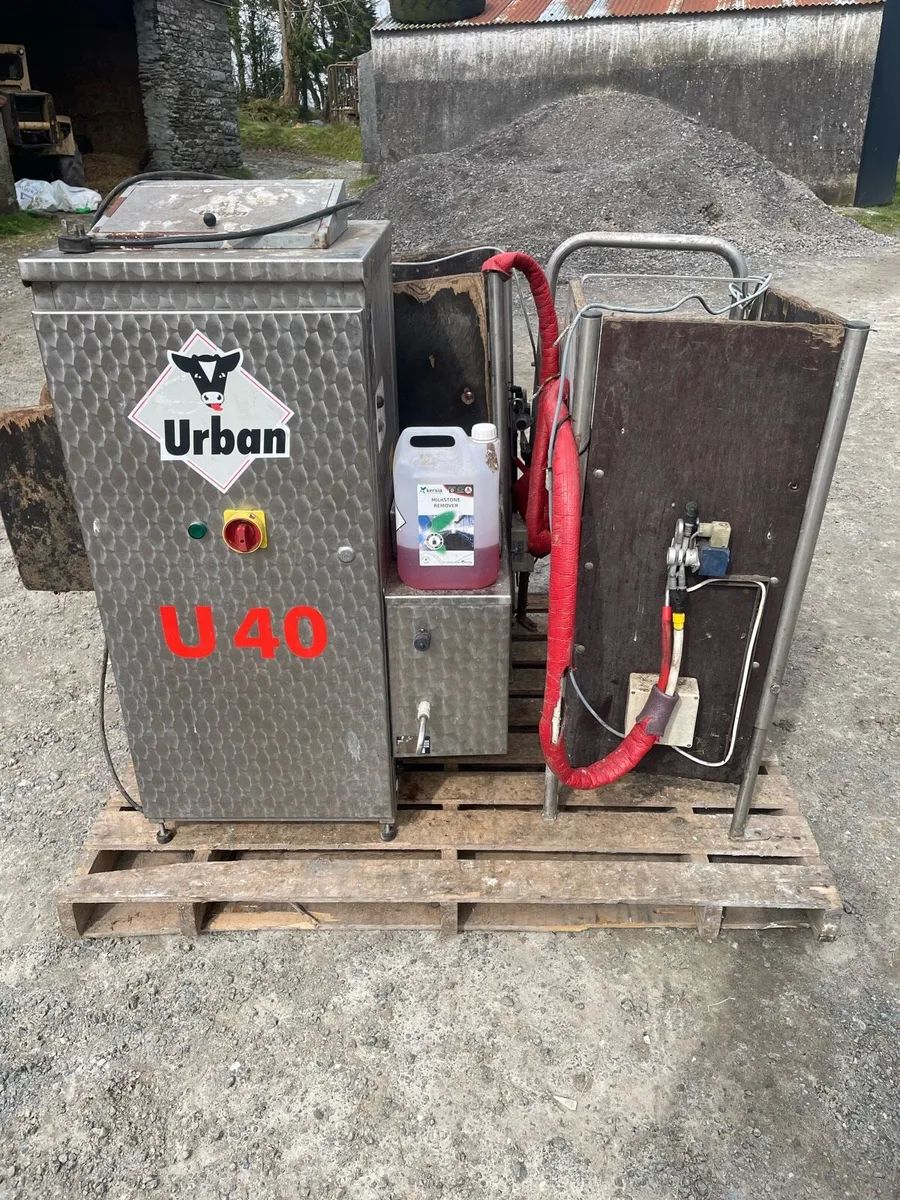 Urban calve feeder - Image 1