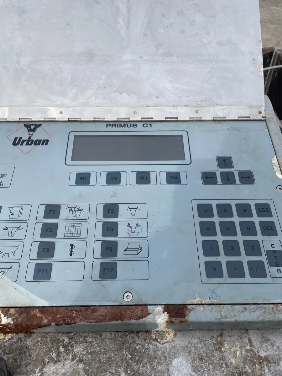 Urban calve feeder - Image 4