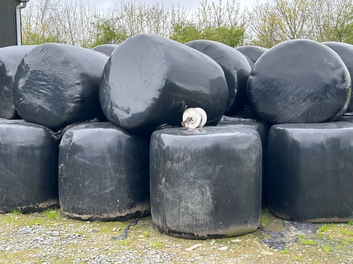 50 bales of Quality Silage