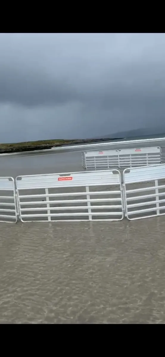 Portayards - Ireland - Image 3