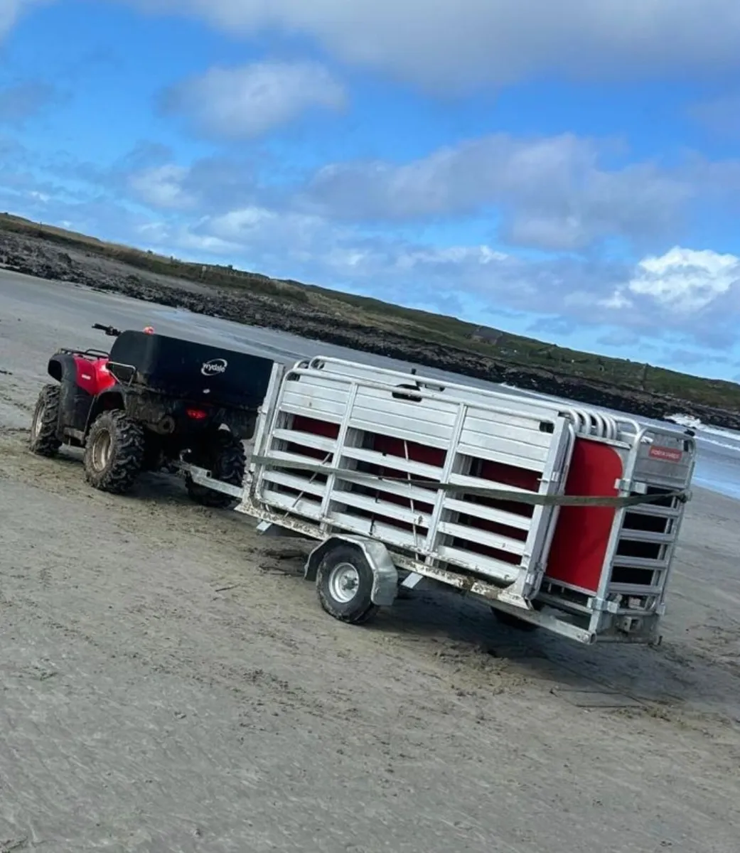 Portayards - Ireland - Image 4