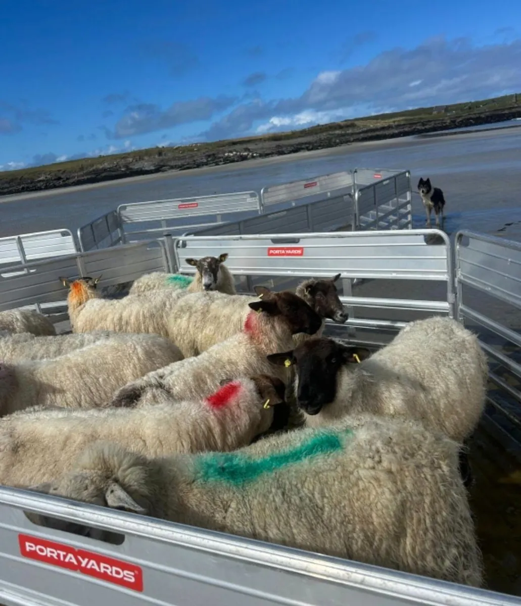 Portayards - Ireland - Image 1