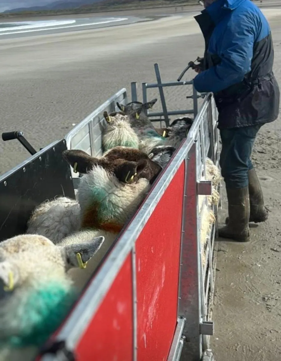 Portayards - Ireland - Image 2