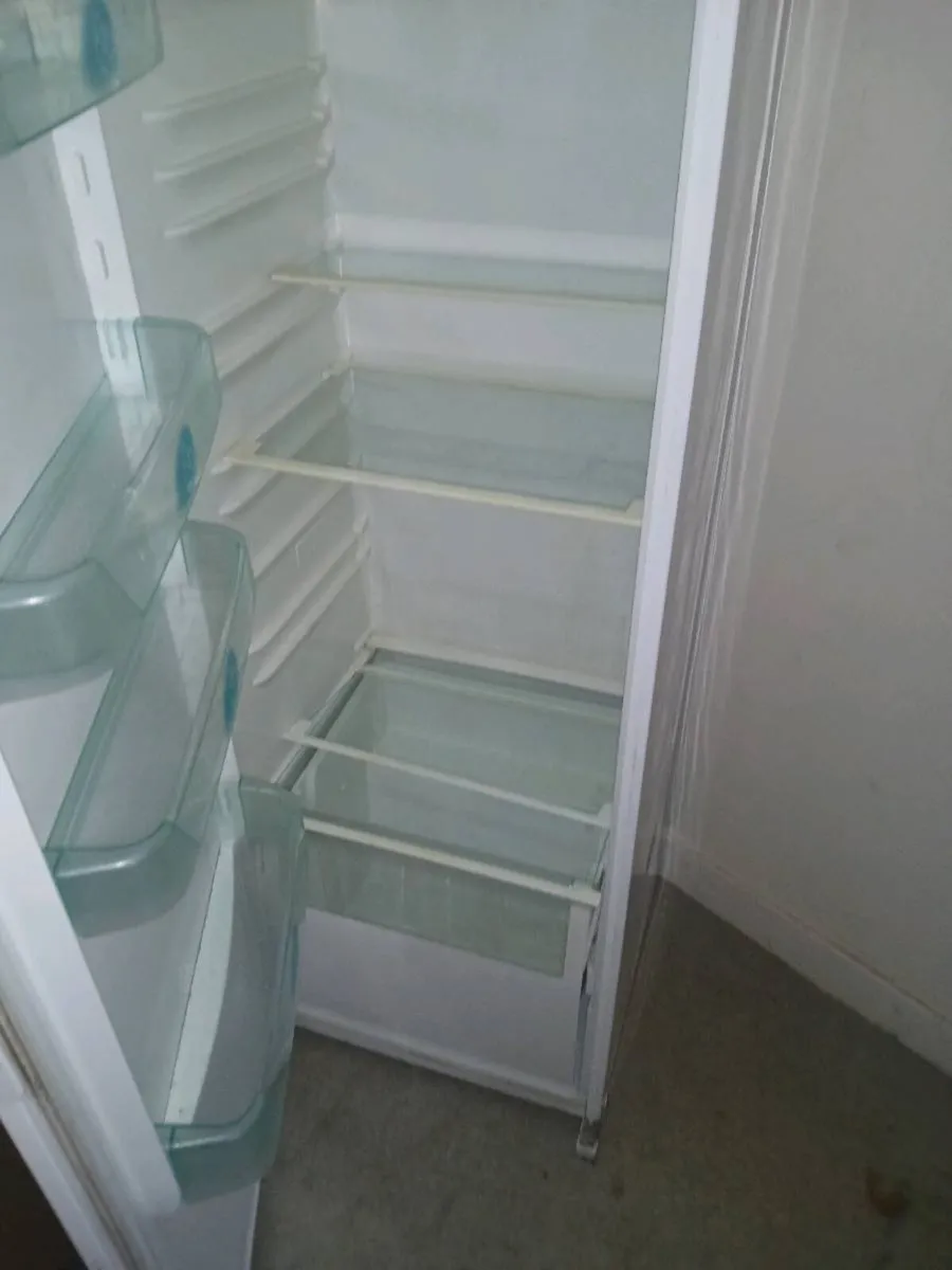 freestanding fridge - Image 2