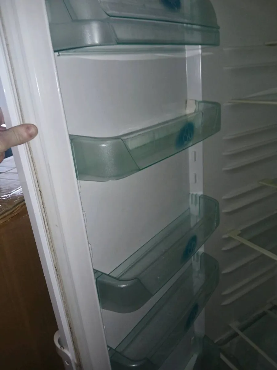 freestanding fridge - Image 3