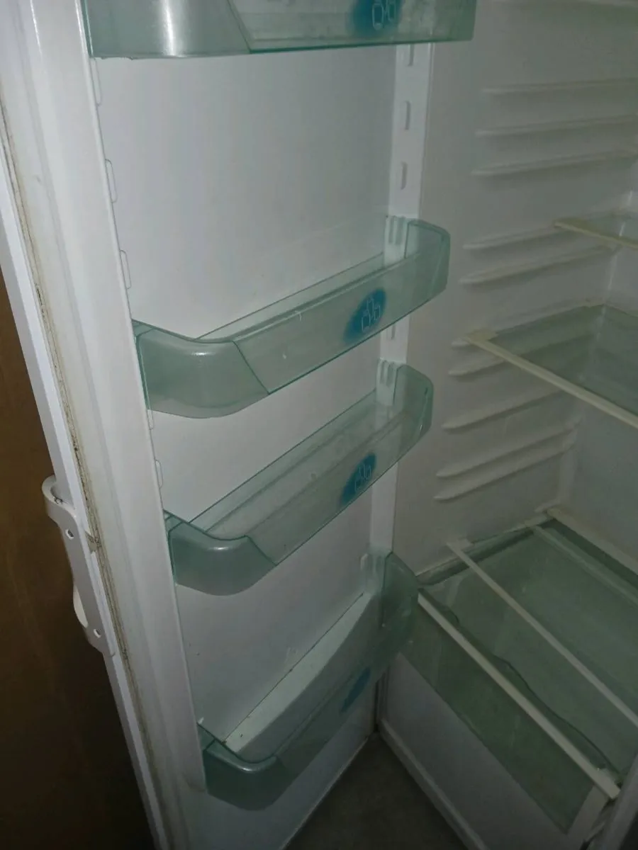 freestanding fridge - Image 4