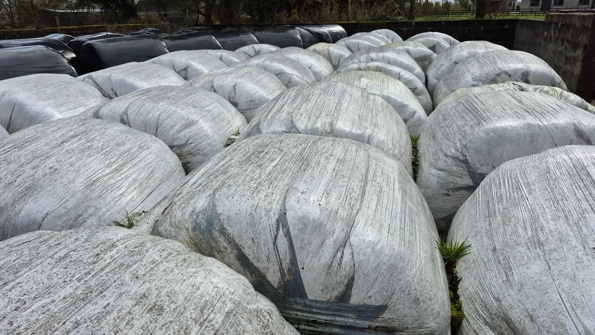 Silage Bales