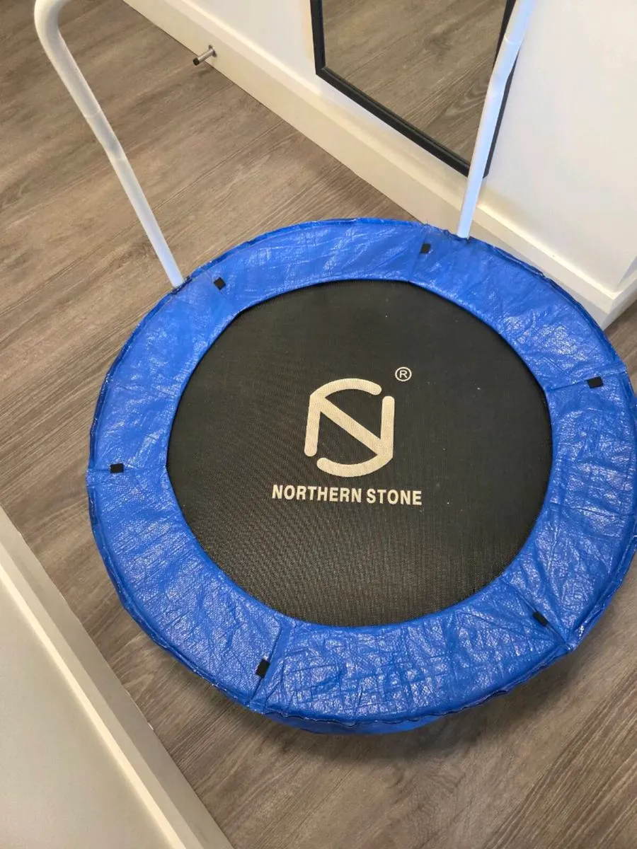 Mini Trampoline - Image 1