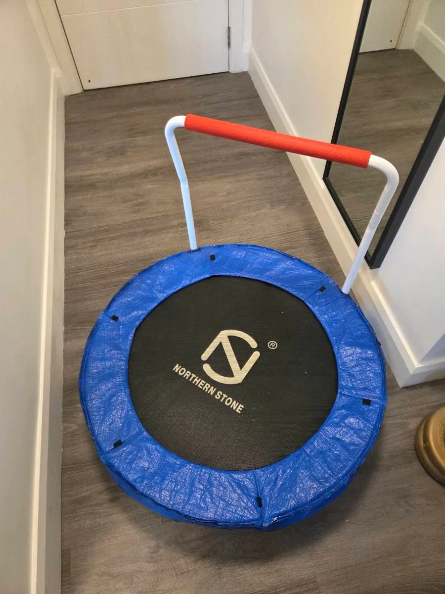 Mini Trampoline - Image 2